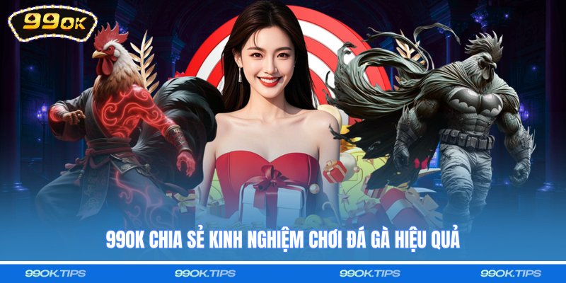 99OK chia sẻ kinh nghiệm chơi đá gà hiệu quả