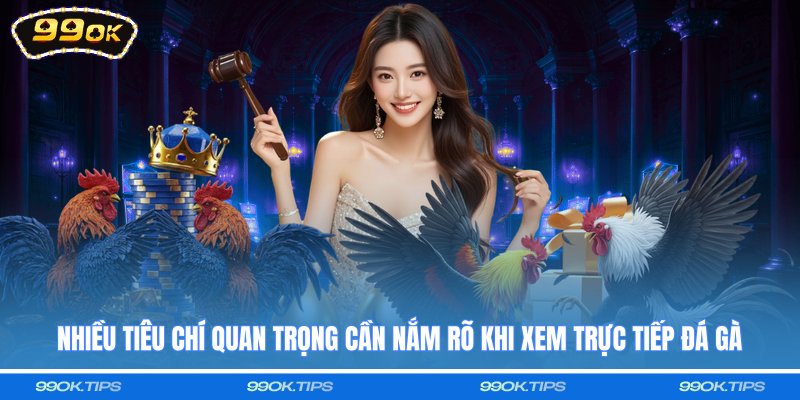 Nhiều tiêu chí quan trọng cần nắm rõ khi xem trực tiếp đá gà