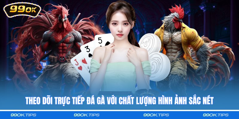 Theo dõi trực tiếp đá gà với chất lượng hình ảnh sắc nét
